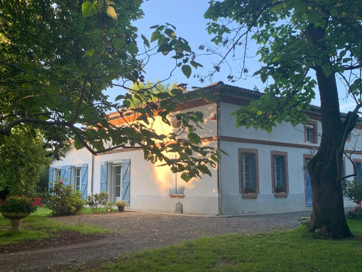 Villa Toulousaine Grisolles  Exterior photo